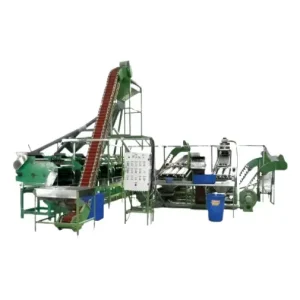 Cashew Nut Processing Plant